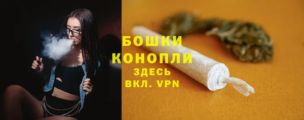 крисы Володарск