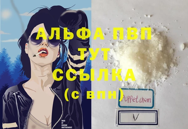 mdpv Волоколамск