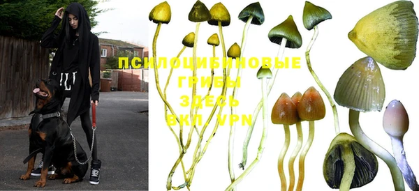 mdpv Волоколамск