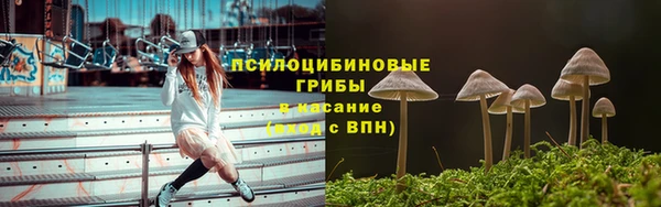 крисы Володарск