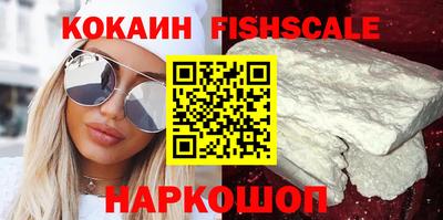 крисы Малгобек