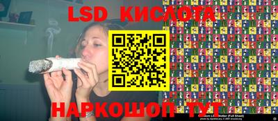 крисы Малгобек