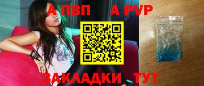 крисы Малгобек