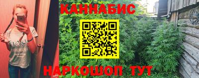 крисы Малгобек