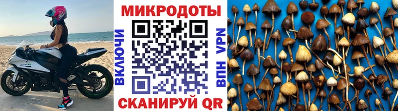 где найти наркотики  Альметьевск  kraken ONION  Псилоцибиновые грибы Psilocybine cubensis 