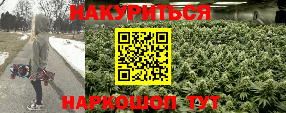 Бошки марихуана Amnesia  Бошки марихуана план  Марихуана тримм  Каннабис гибрид  Вход с VPN  Альметьевск 